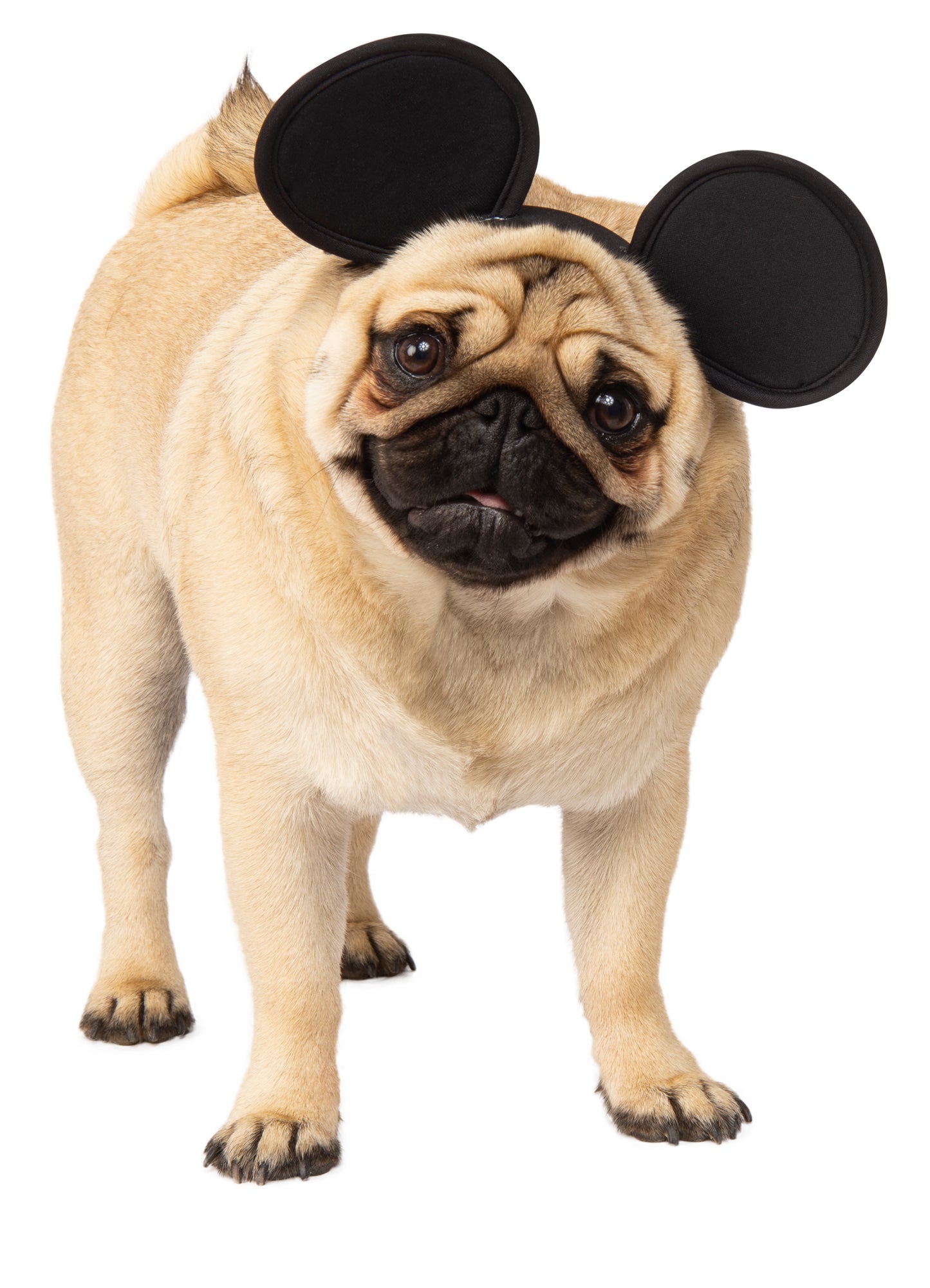 Mickey Mouse Ears (Child size)