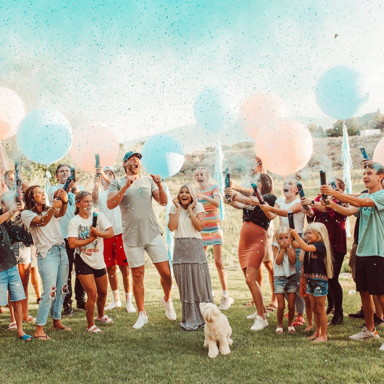 Gender Reveal Pink or Blue Big Cannon Popper
