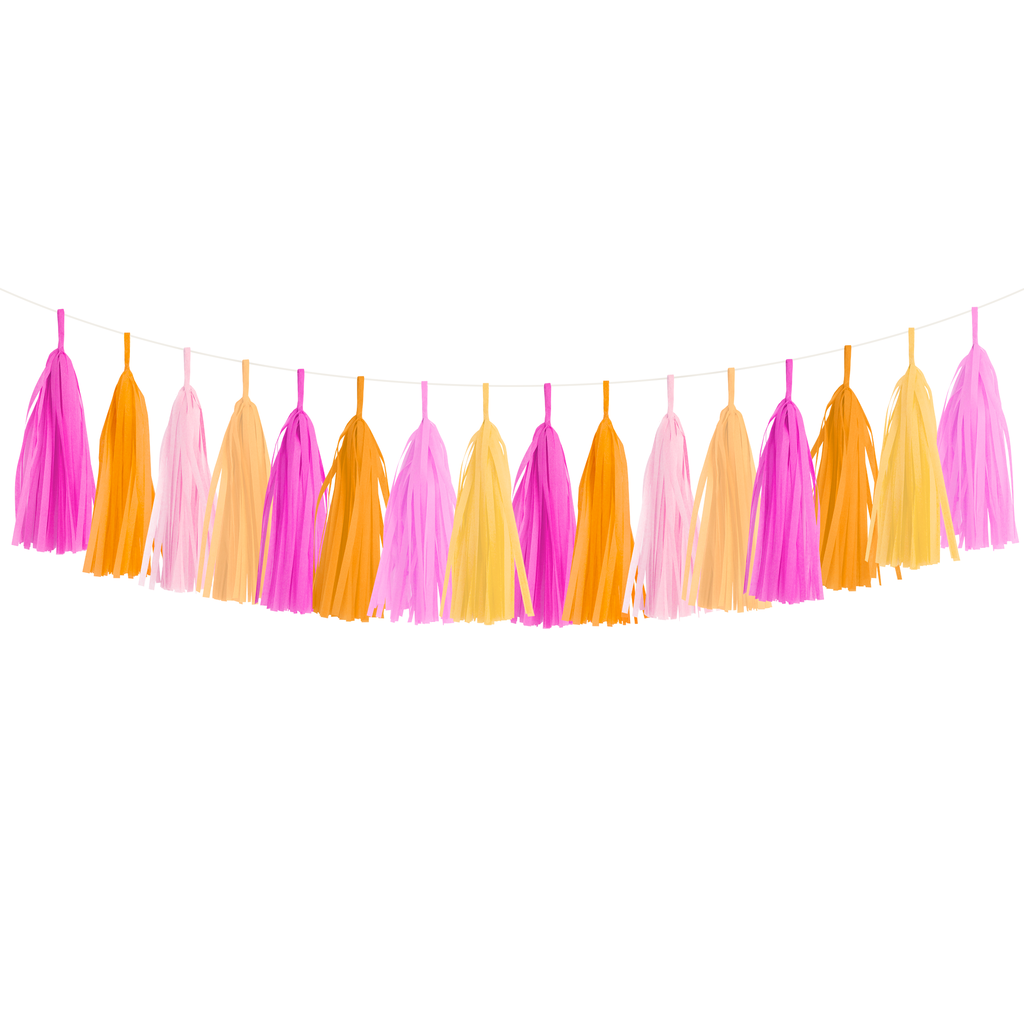 Tassel Garland DIY Kit - Pink Grapefruit