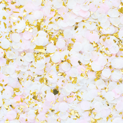 Princess CONFETTI