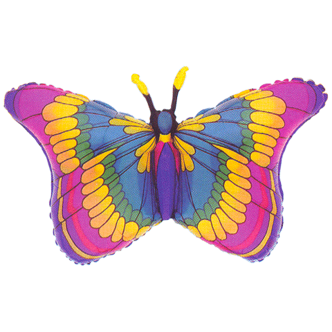 See-Thru Flutter Butterfly