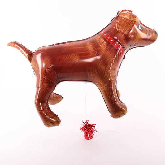 Dog balloon