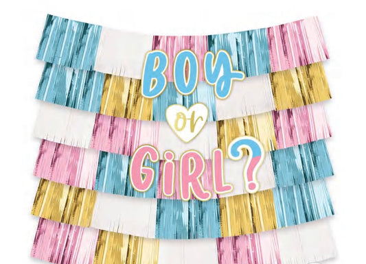 Gender Reveal Boy or Girl Fringe Curtain