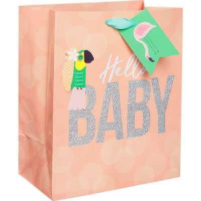 Hello Baby Gift Bag