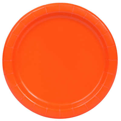 Paper Lunch Plates 8ct (BIG PLATES)