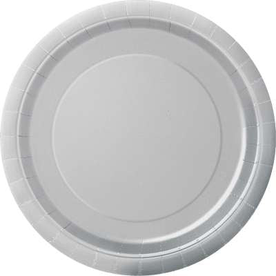 Paper Lunch Plates 8ct (BIG PLATES)