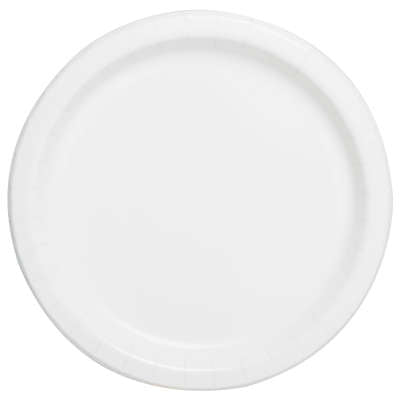Paper Lunch Plates 8ct (BIG PLATES)