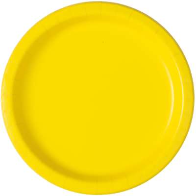 Paper Lunch Plates 8ct (BIG PLATES)