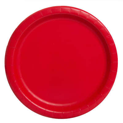 Paper Lunch Plates 8ct (BIG PLATES)