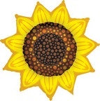 Sunflower Balloon 42’’