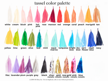 Custom Cloud Buster Balloon Set w/Tassel