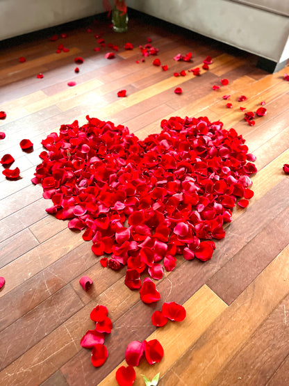 Room Filled With Love Package