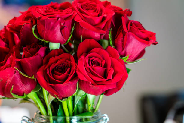 Room Filled With 7-Dozen Hearts of Love Package