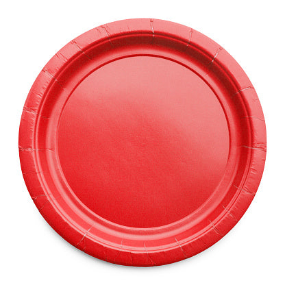 Paper Lunch Plates 8ct (BIG PLATES)