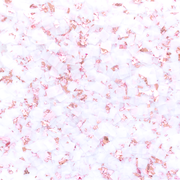 Rose Gold CONFETTI
